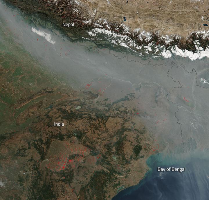 Forest Fire Numbers Rise in India in 2016