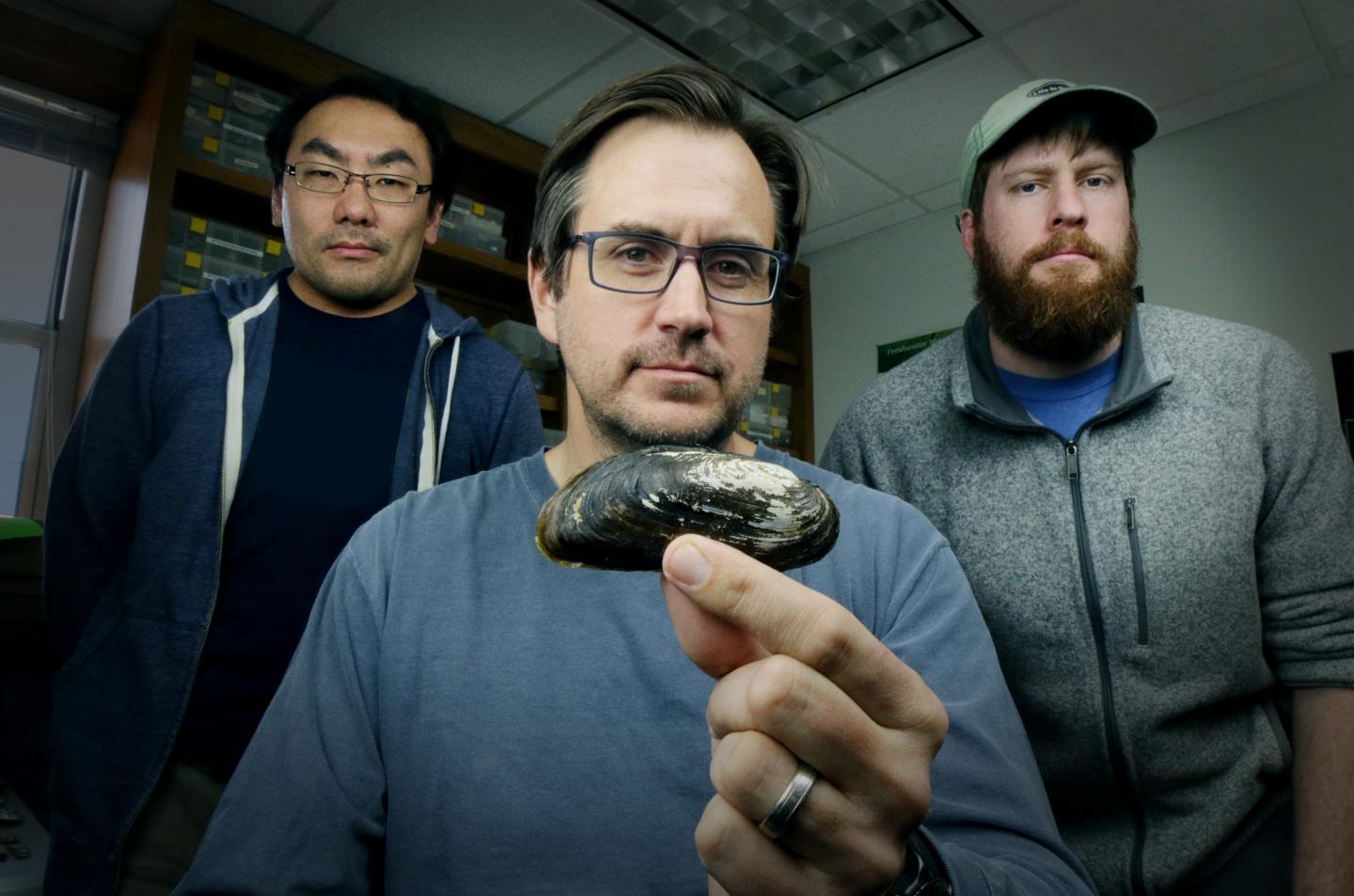 Texas A&M AgriLife Researchers and Texas Hornshell
