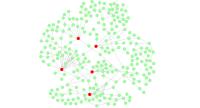 Gene Network