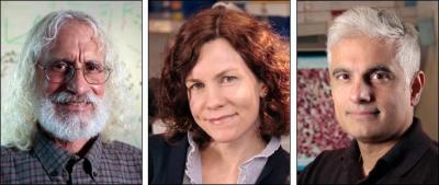 Study Co-authors