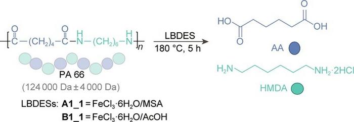 Hydrolysis of PA 66 by LBDES.