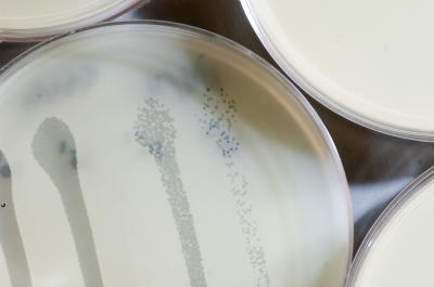 Microbial Frenemies