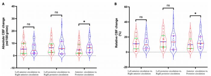 Fig. 3. Both (A) the absolute change in cerebral blood flow (CBF) and (B) the relative change demonstrated greater reductions in the posterior circulation than in the anterior circulation.