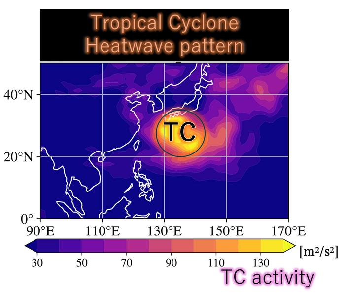 Tropical cyclone activity during a “moist” heat wave.