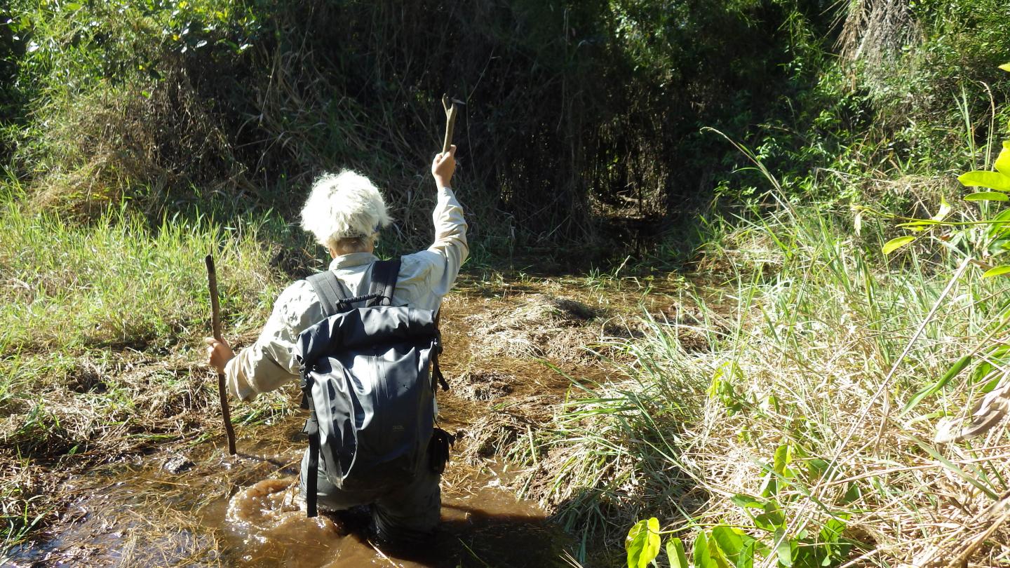 Fieldwork (2 of 3)