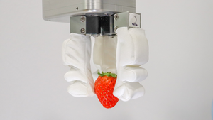 NUS Robotic Gripper