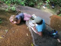 Researching in Suriname