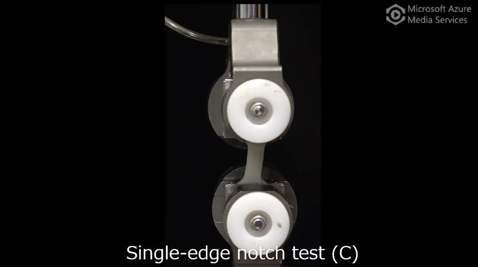 Role of muscle fibers in the squid-synthetic polymer double-network gel