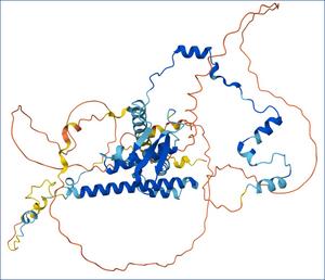 Discovery of how a protein regulates DNA and affects male fertility