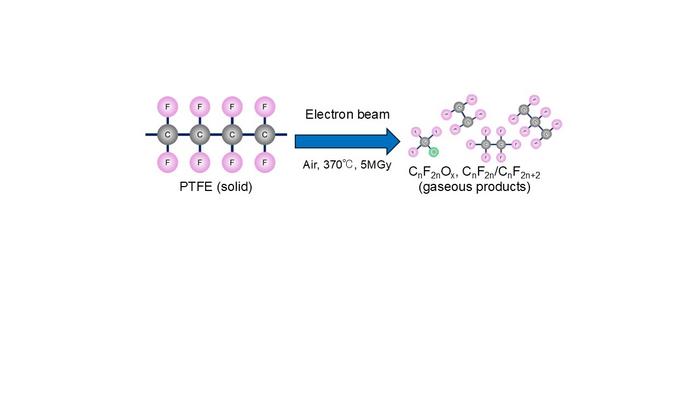 Exploring the effect of temperature on irradiation-induced decomposition of polytetrafluoroethylene (PTFE)