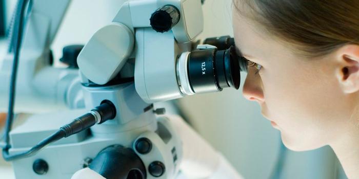 Microscope