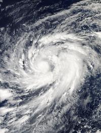 Aqua Image of Nuri