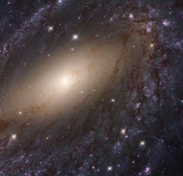 The Glowing Spiral Arms of NGC 6744