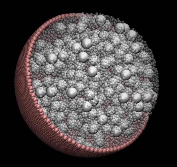Cellular Visualization (1 of 2)