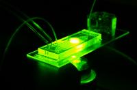 Progeria-on-a-Chip Model