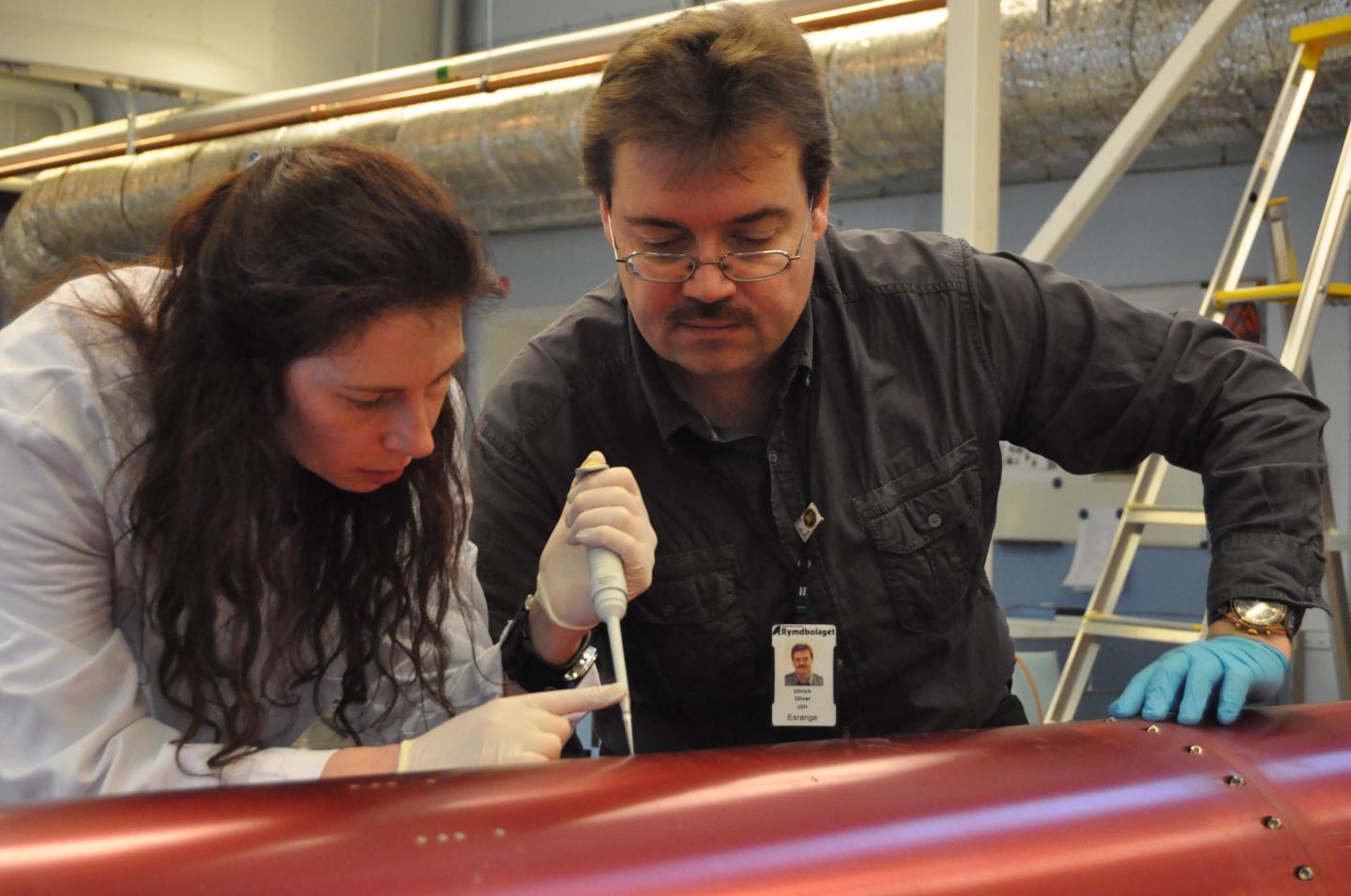 Salvaging DNA