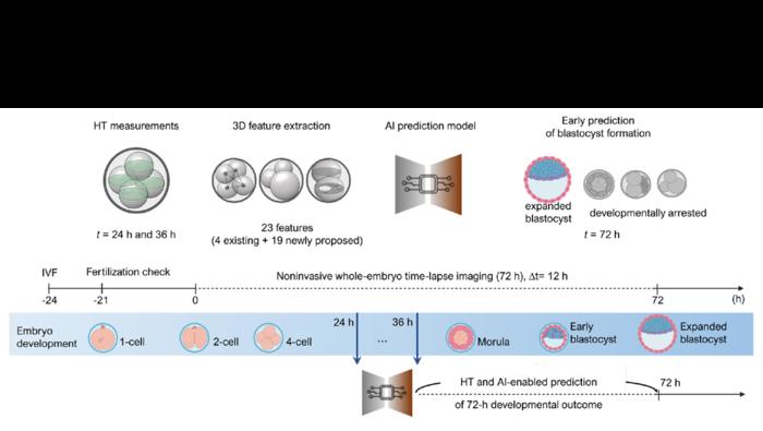 KAIST’s Advanced Oocyte and Embryo Analysis Technology to Improve IVF Success Recognized at Leading Global Conference
