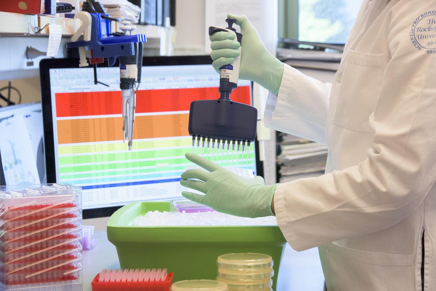 Toward a Vaccine