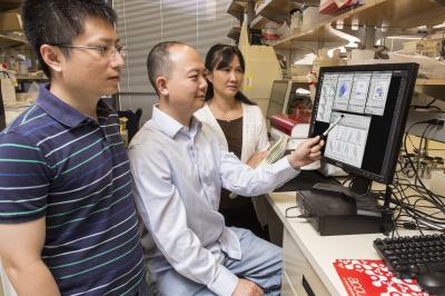 Ye Zheng, Salk Institute 