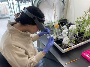 A person in a lab coat and goggles sit by a plant tray working with a small plastic container