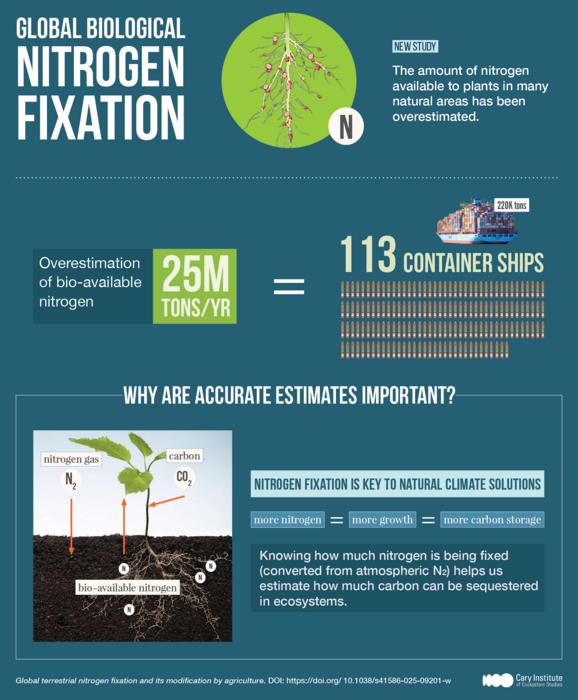 Global biological nitrogen fixation - Infographic