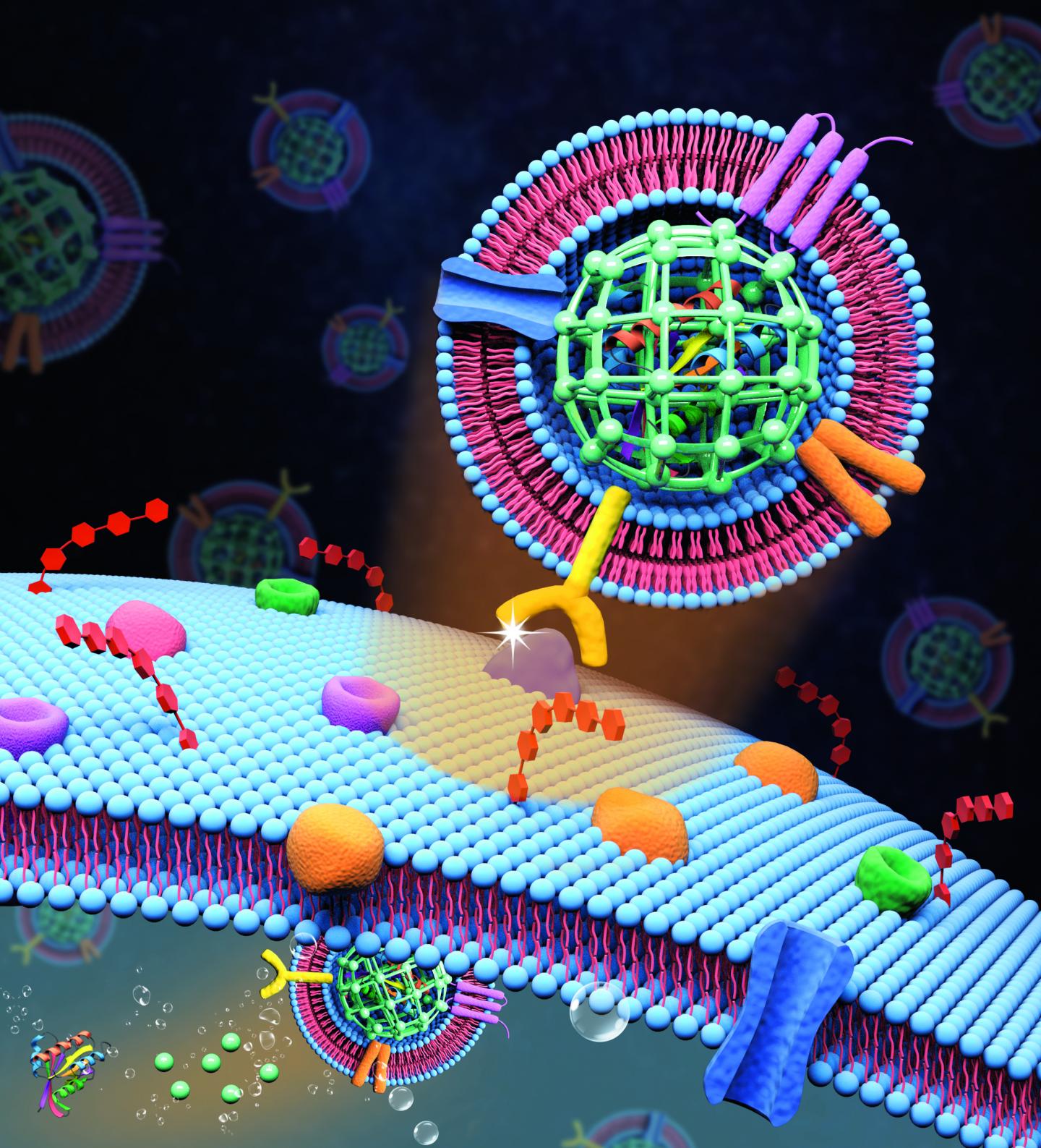 Drug Encapsulation