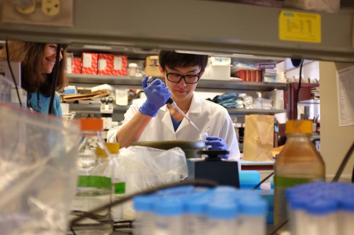 Kevin Lei and Maria-Luisa Alegre, University of Chicago Medical Center
