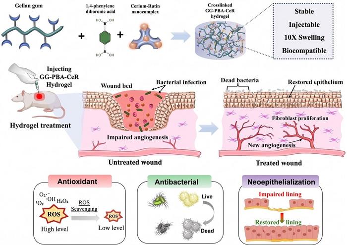 A Smarter Hydrogel for Faster Wound Healing
