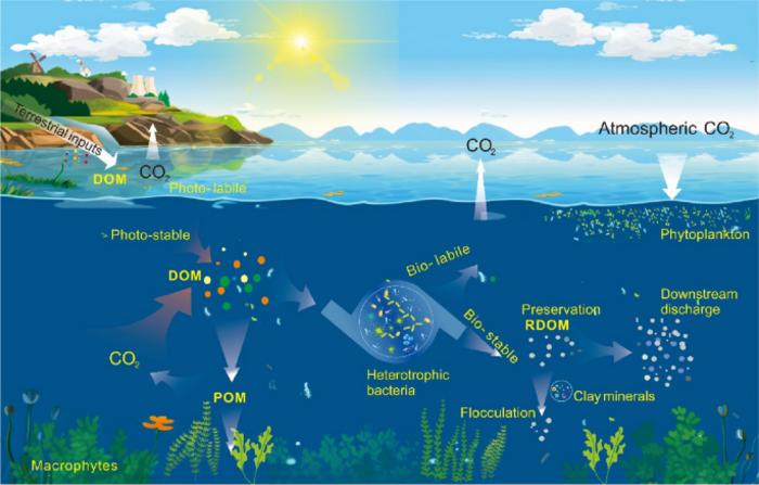 Recalcitrant dissolved organic matter in lakes: a critical but neglected carbon sink