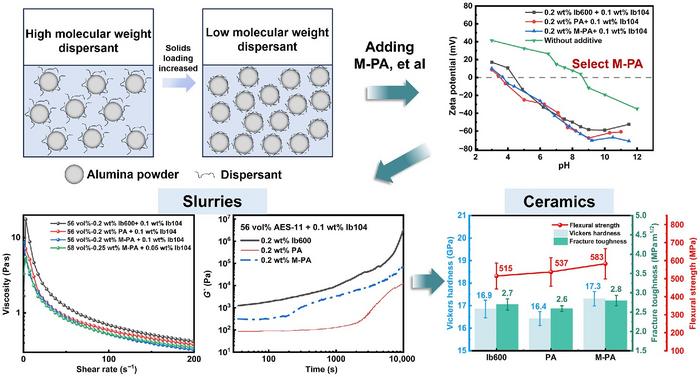 Modified low molecular weight polyacrylic acid as a dispersant for spontaneous coagulation casting of alumina ceramics