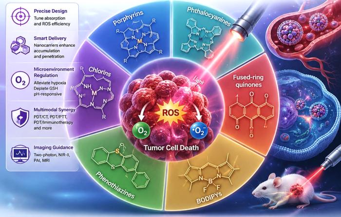 Six different types of organic photosensitizers applied in tumor photodynamic therapy.