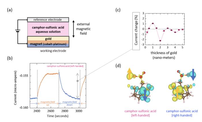 Fig2. Overview of research findings