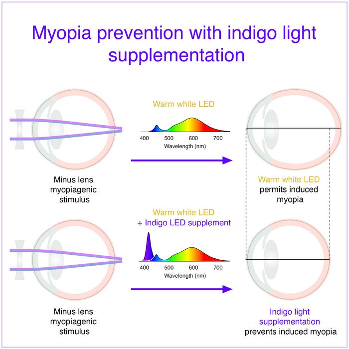 The Impact of Indigo Light on Myopia