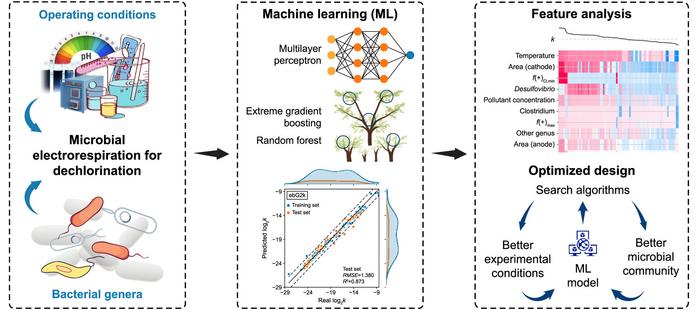 Machine learning–guided framework for accelerating bioelectrodechlorination.