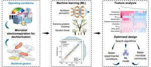 Machine learning–guided framework for accelerating bioelectrodechlorination.