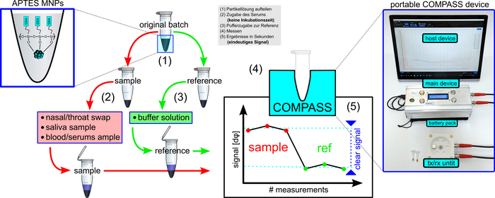 Novel Rapid Test COMPASS