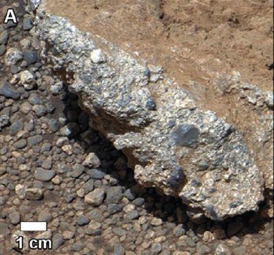 Gale Conglomerate