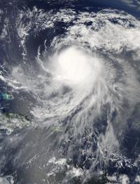 Aqua image of Jose