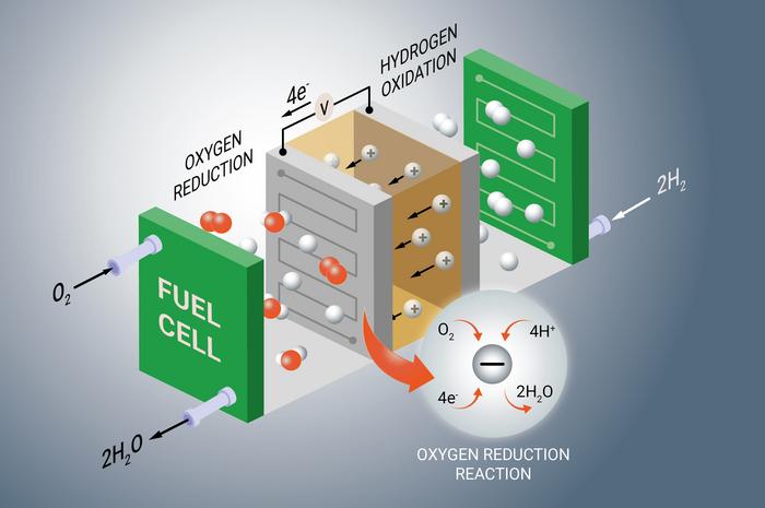 Schematic depiction of a fuel cell