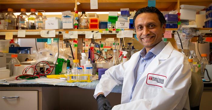 Study Reveals Hidden Immune Defense Mechanism That Could Be Used to Fight Cancer