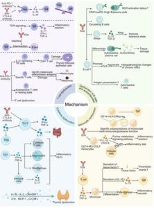 The Evolving Landscape of Immunotoxicity: Charting Mechanisms and Future Strategies for Immune Checkpoint Inhibitor Adverse Events