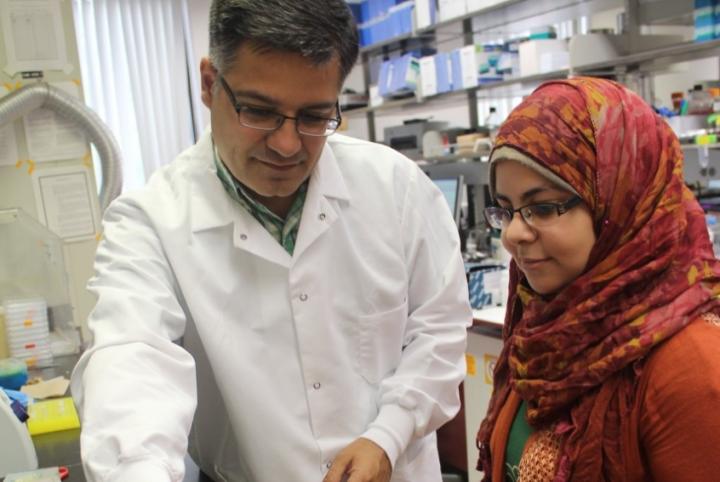 Antibiotic Resistance