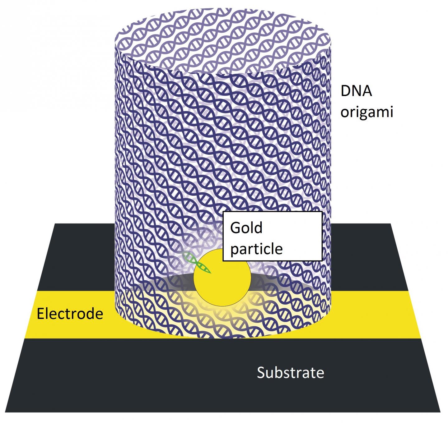 DNA 'Origami' Could Help Build Faster, Cheaper Computer Chips