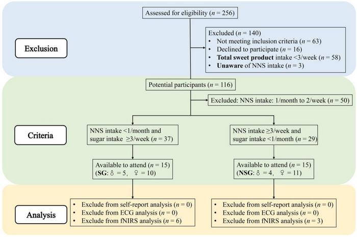 Flowchart of participant enrollment in the study.