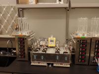 Benchtop Evolution