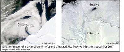 Polar Cyclone and The Maud Rise Polynya