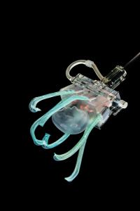 Robot and Jellyfish