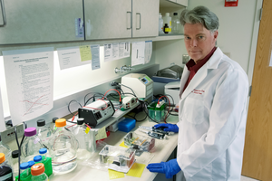Dr. Michael Court
