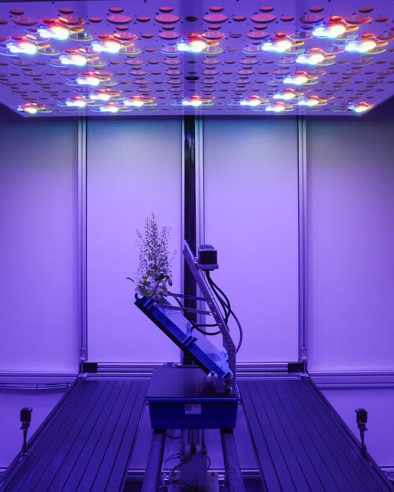 APPL imaging chamber