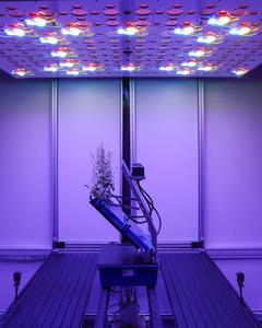APPL imaging chamber